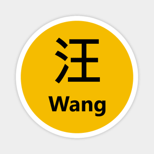 Chinese Surname Wang 汪 Magnet